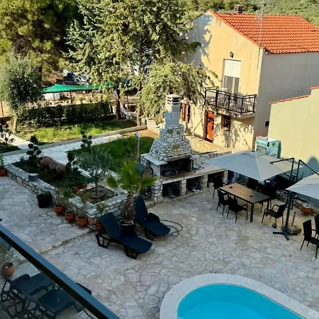 Olea Daire