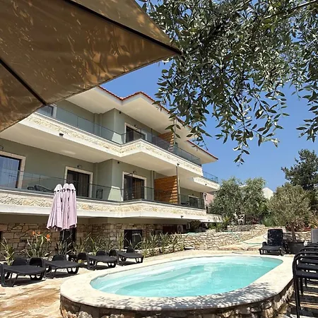 Olea Daire